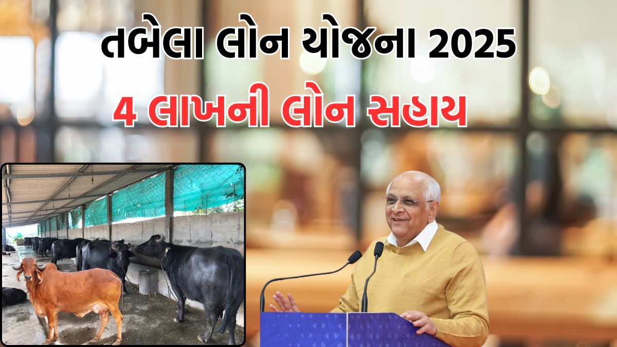 Tabela Loan Yojana Gujarat 2025
