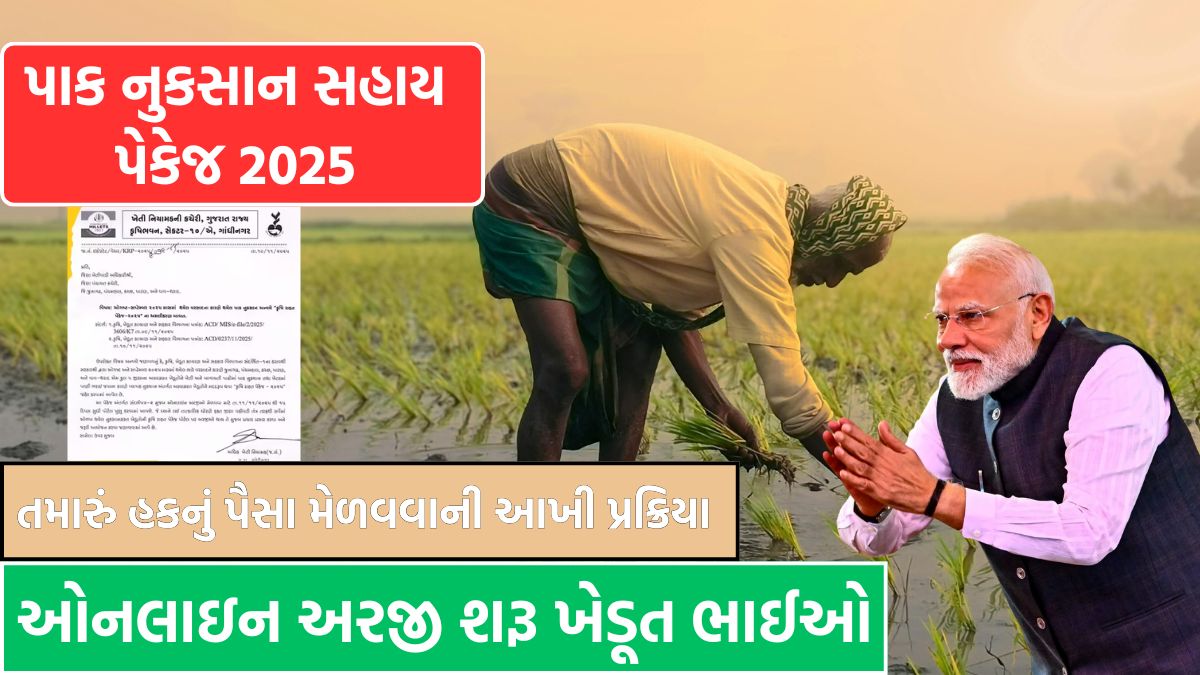 pak nuksan sahay gujarat 2025